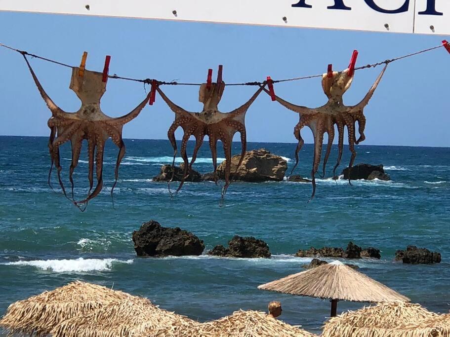 W Apartment Χανιά Εξωτερικό φωτογραφία